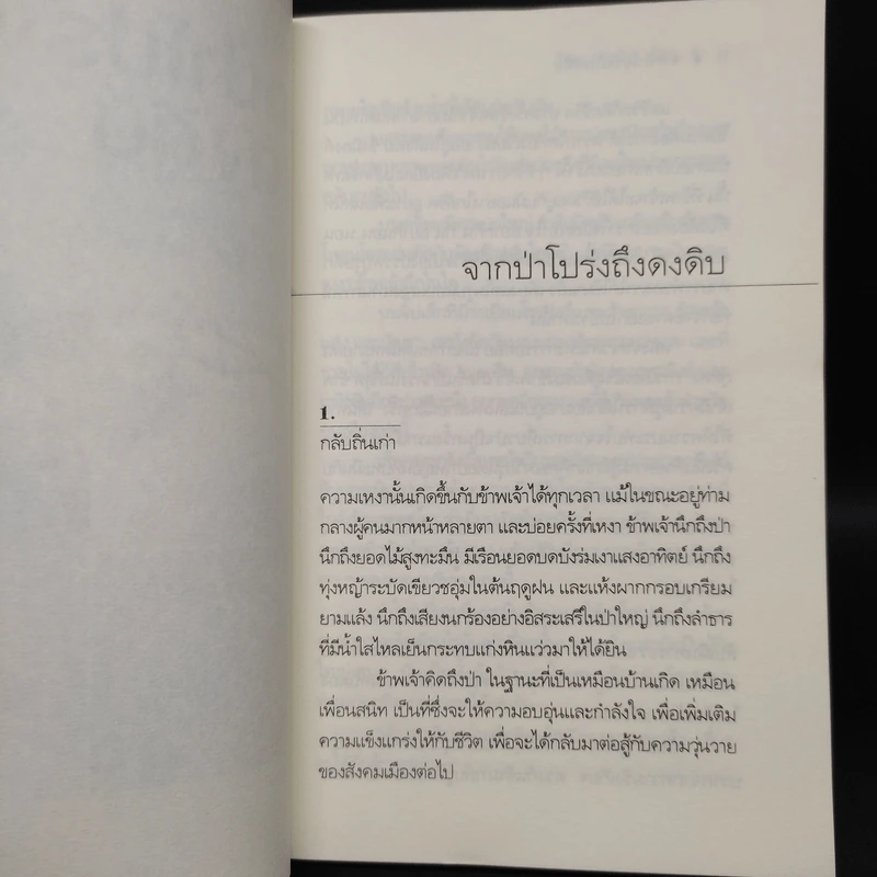 จากป่าโปร่งถึงดงดิบ - วัธนา บุญยัง รูปที่ 6