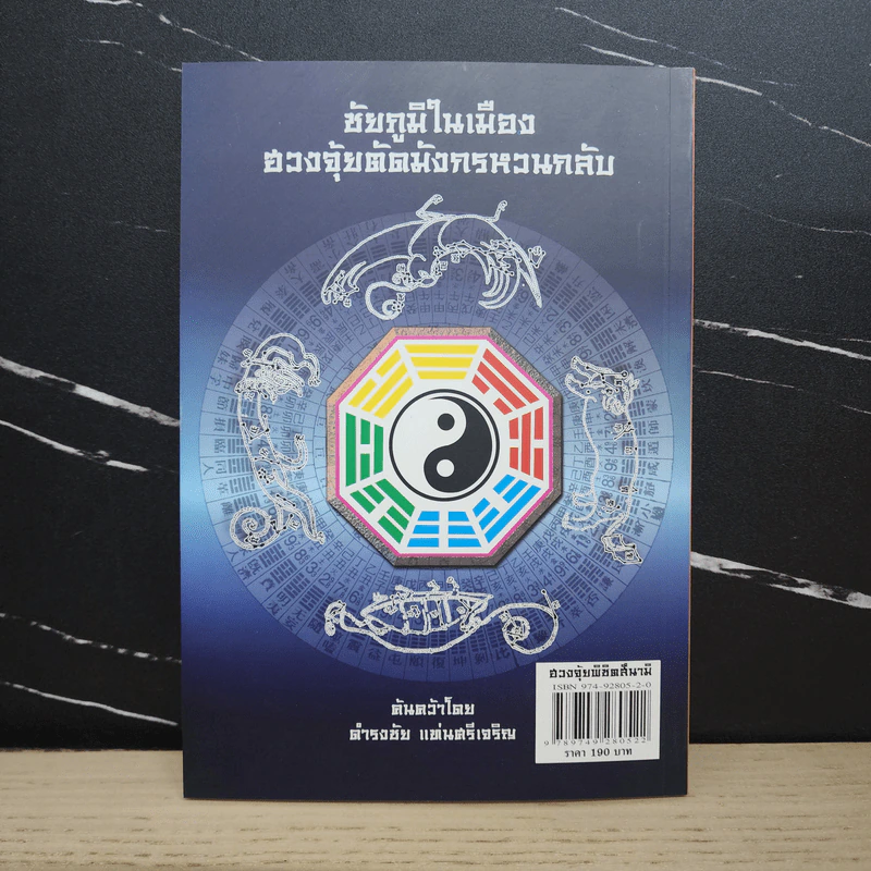 ฮวงจุ้ยพิชิตสึนามิ ฮวงจุ้ยตัดมังกรหวนกลับ (ชัยภูมิในเมือง) - ดำรงชัย แท่นศรีเจริญ รูปที่ 5