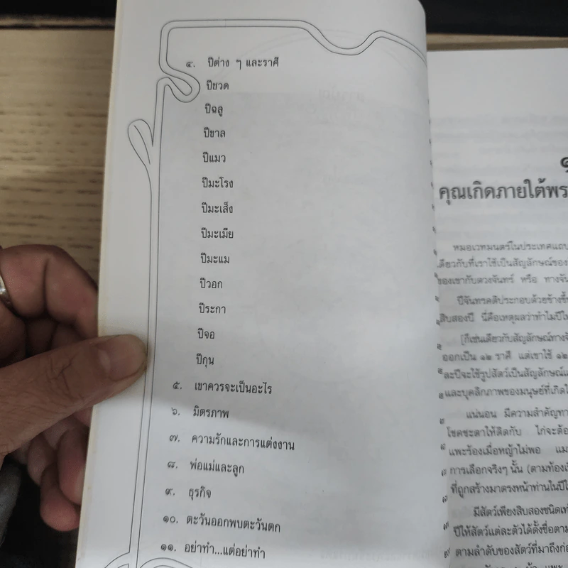 โหราศาสตร์จีน - พอลลา เดลซอล รูปที่ 8