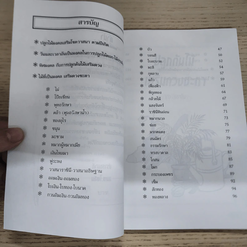 ปลูกต้นไม้เสริมดวงชะตา - แก้ว สุพรรโณ รูปที่ 7