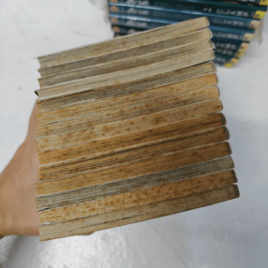 นูระหลานจอมภูต เล่ม 2-15 รูปที่ 4