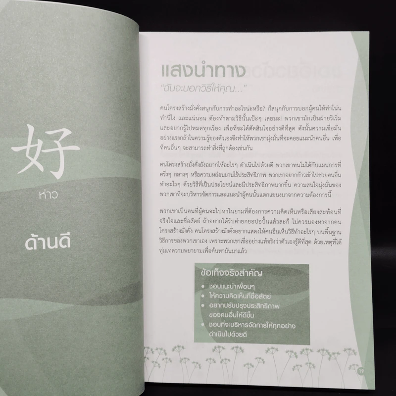 แก่นแท้ปาจื่อ 5 โครงสร้าง - โจอี ยับ (JOEY YAP) รูปที่ 8