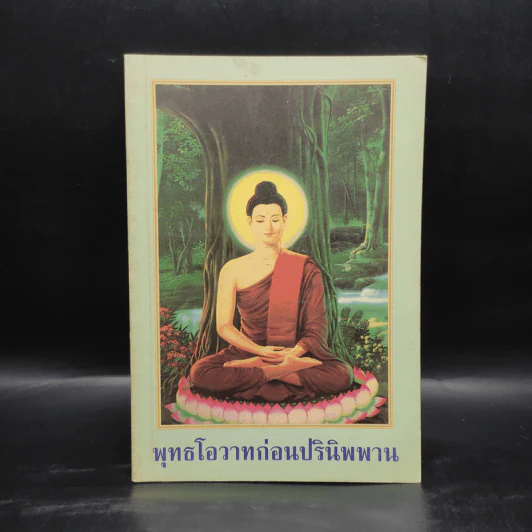 พระพุทธโอวาทก่อนปรินิพพาน รูปที่ 1