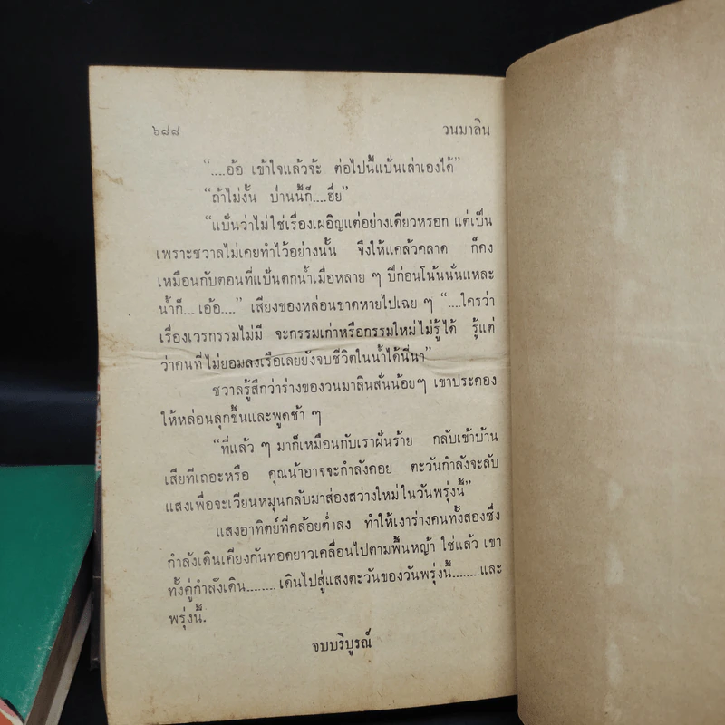วนมาลิน 2 เล่มจบ - สายัณห์ ลวพงศ์ รูปที่ 9