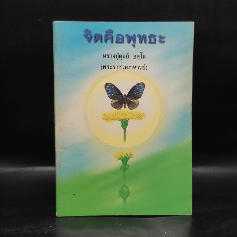 จิตคือพุทธะ - หลวงปู่ดุลย์ อตโล รูปที่ 1