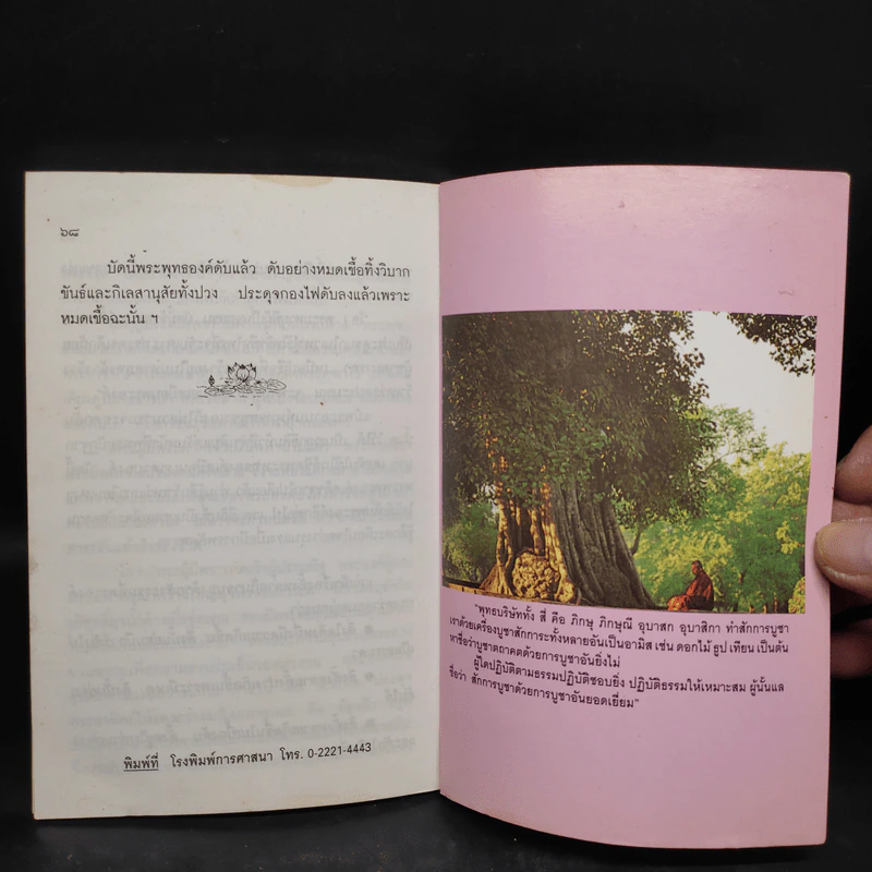 พระพุทธโอวาทก่อนปรินิพพาน รูปที่ 6