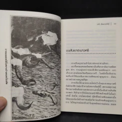 เสือร้ายแห่งวังขร - ชาลี เอี่ยมกระสินธุ์ รูปที่ 7