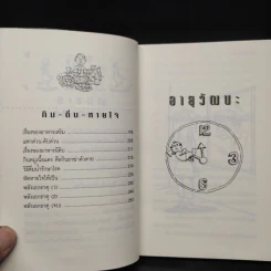 อายุวัฒนะ - ไพศาล พืชมงคล รูปที่ 7