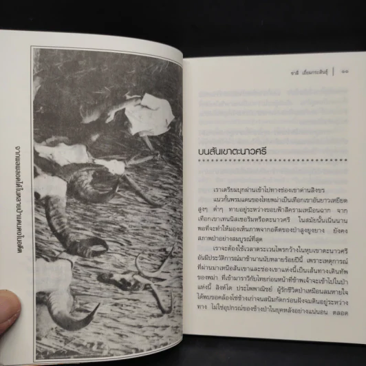 เสือร้ายแห่งวังขร - ชาลี เอี่ยมกระสินธุ์ รูปที่ 7