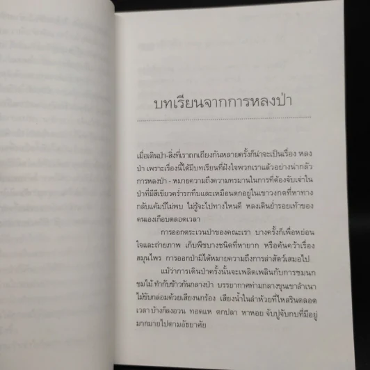 ป่าในอดีต - ชาลี เอี่ยมกระสินธุ์ รูปที่ 6