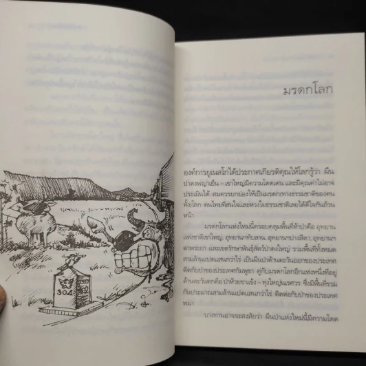 มหัศจรรย์เขาใหญ่ - อำนวย อินทรักษ์ รูปที่ 7
