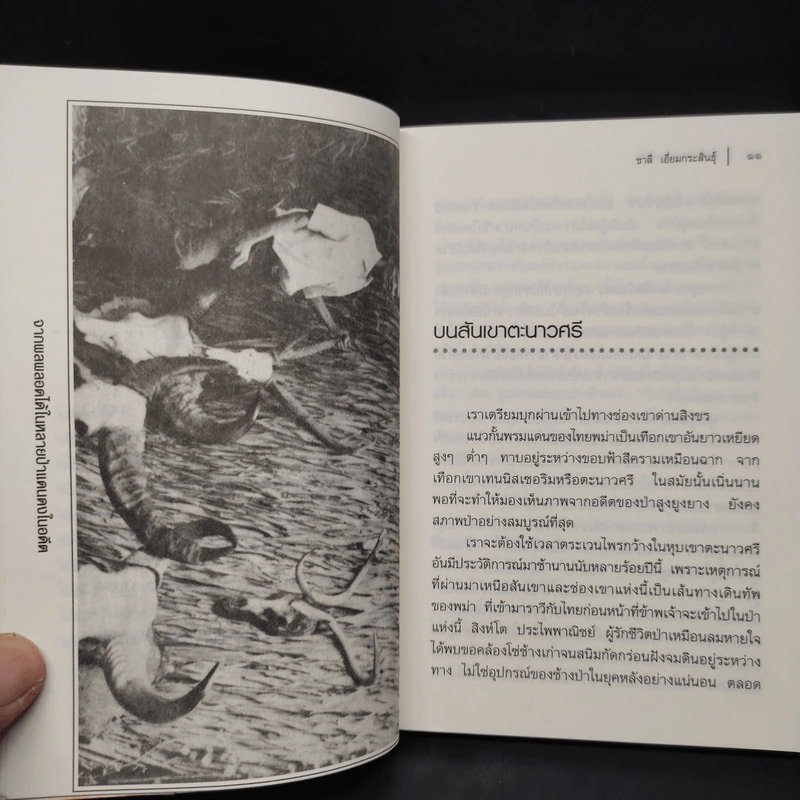 เสือร้ายแห่งวังขร - ชาลี เอี่ยมกระสินธุ์ รูปที่ 7