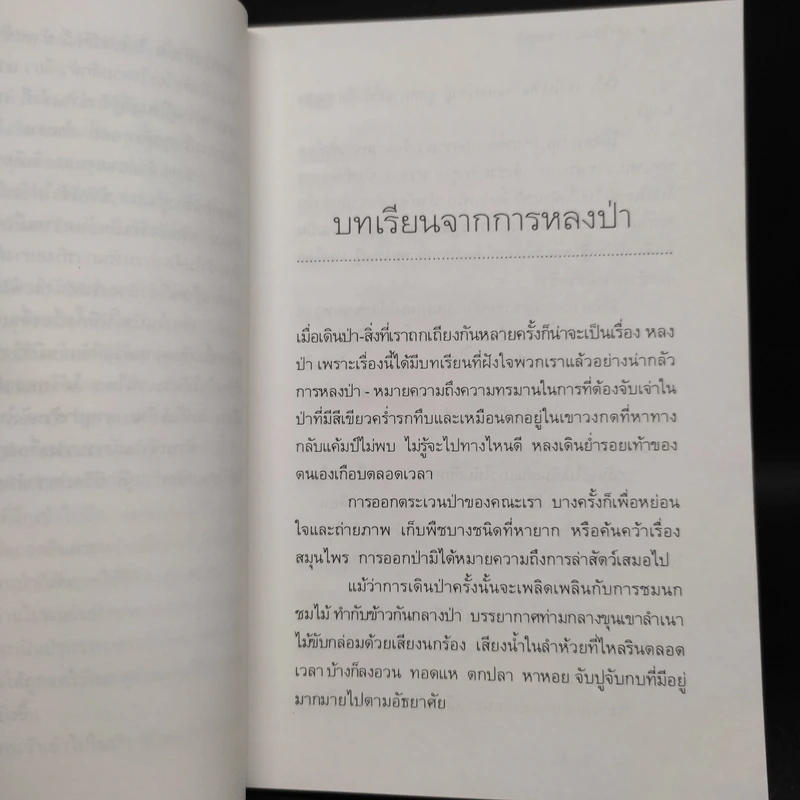 ป่าในอดีต - ชาลี เอี่ยมกระสินธุ์ รูปที่ 6