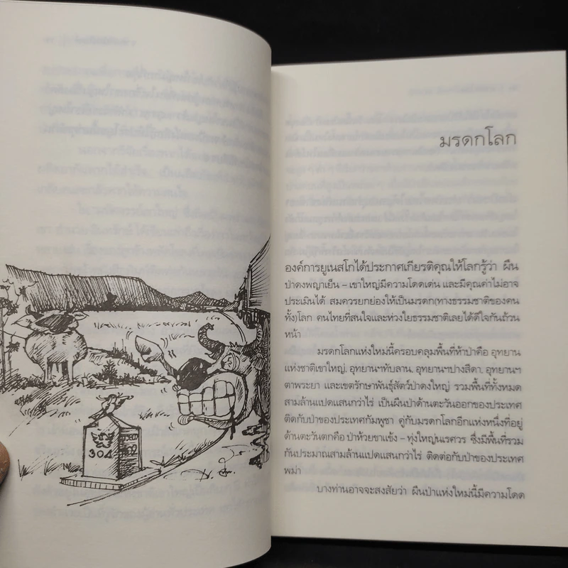 มหัศจรรย์เขาใหญ่ - อำนวย อินทรักษ์ รูปที่ 7