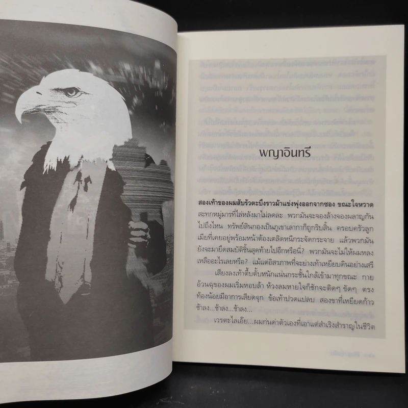 พญาอินทรี - จรัญ ยั่งยืน รูปที่ 7