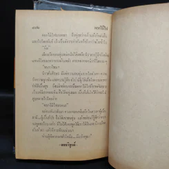 ดอกไม้ไฟ 2 เล่มจบ - ช่อลัดา รูปที่ 9