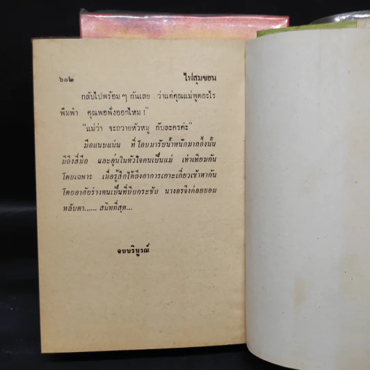 ไฟสุมขอน 2 เล่มจบ - วาสนา รูปที่ 9