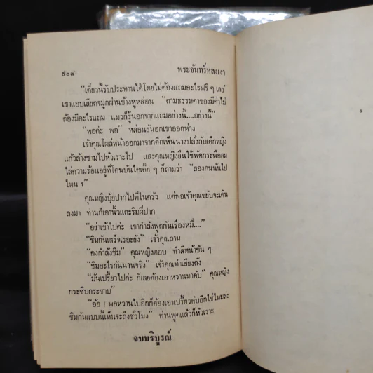 พระจันทร์หลงเงา 2 เล่มจบ - กัญญ์ชลา รูปที่ 10