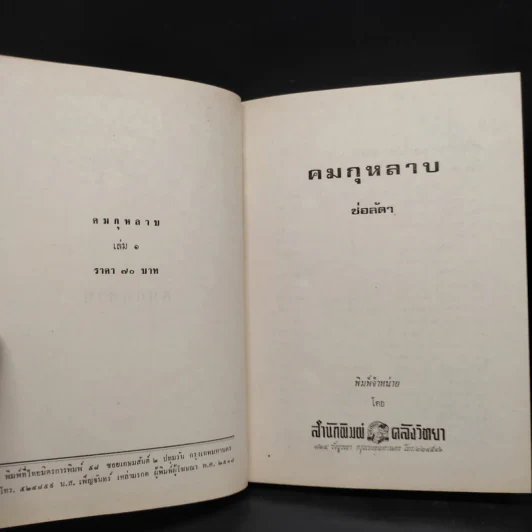คมกุหลาบ 2 เล่มจบ - ช่อลัดา รูปที่ 6