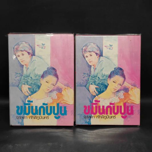 ขมิ้นกับปูน 2 เล่มจบ (ปกแข็ง) - จุลลดา ภักดีภูมินทร์ รูปที่ 1