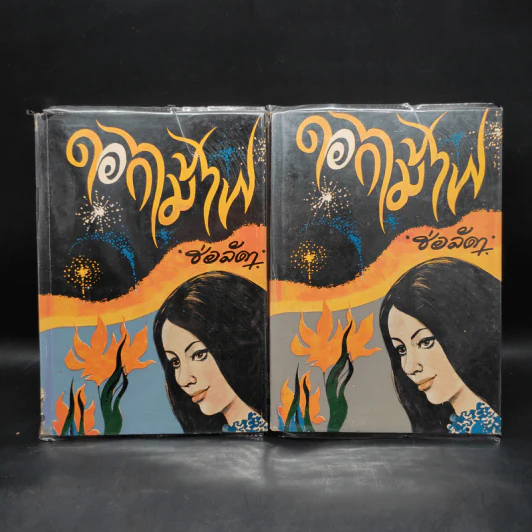 ดอกไม้ไฟ 2 เล่มจบ - ช่อลัดา รูปที่ 1