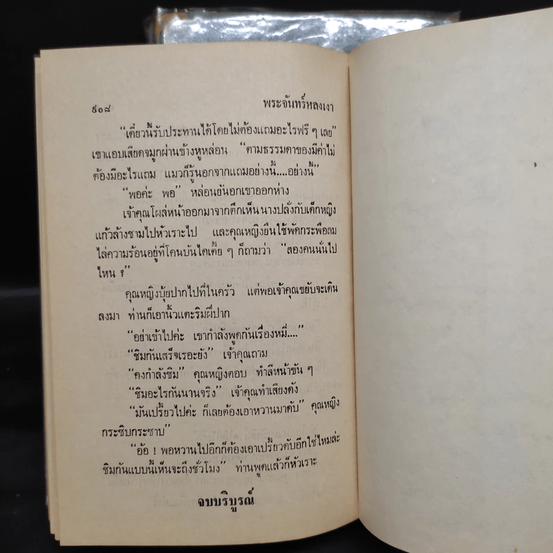 พระจันทร์หลงเงา 2 เล่มจบ - กัญญ์ชลา รูปที่ 10