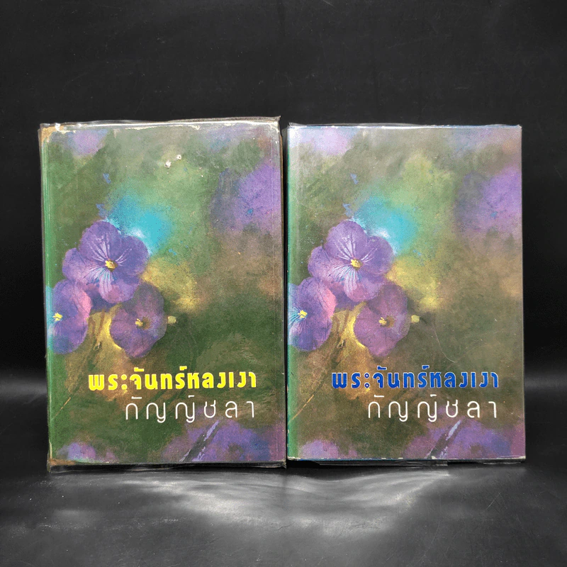 พระจันทร์หลงเงา 2 เล่มจบ - กัญญ์ชลา รูปที่ 1