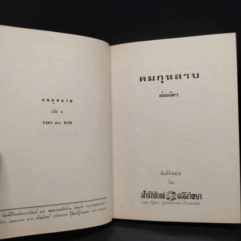 คมกุหลาบ 2 เล่มจบ - ช่อลัดา รูปที่ 6