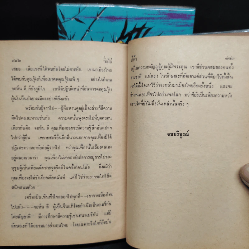 กิ่งไผ่ 2 เล่มจบ - สีฟ้า รูปที่ 9