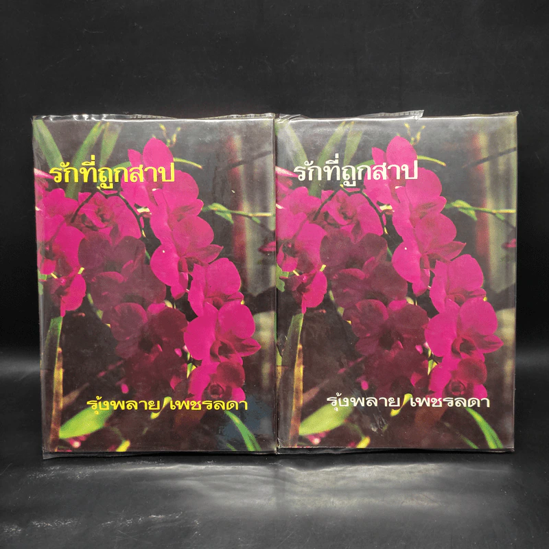 รักที่ถูกสาป 2 เล่มจบ - รุ้งพลาย เพชรลดา รูปที่ 1