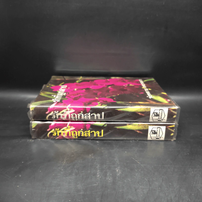 รักที่ถูกสาป 2 เล่มจบ - รุ้งพลาย เพชรลดา รูปที่ 3
