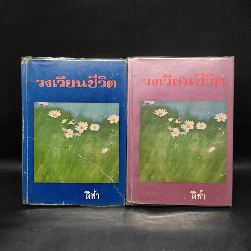 วงเวียนชีวิต 2 เล่มจบ - สีฟ้า รูปที่ 1