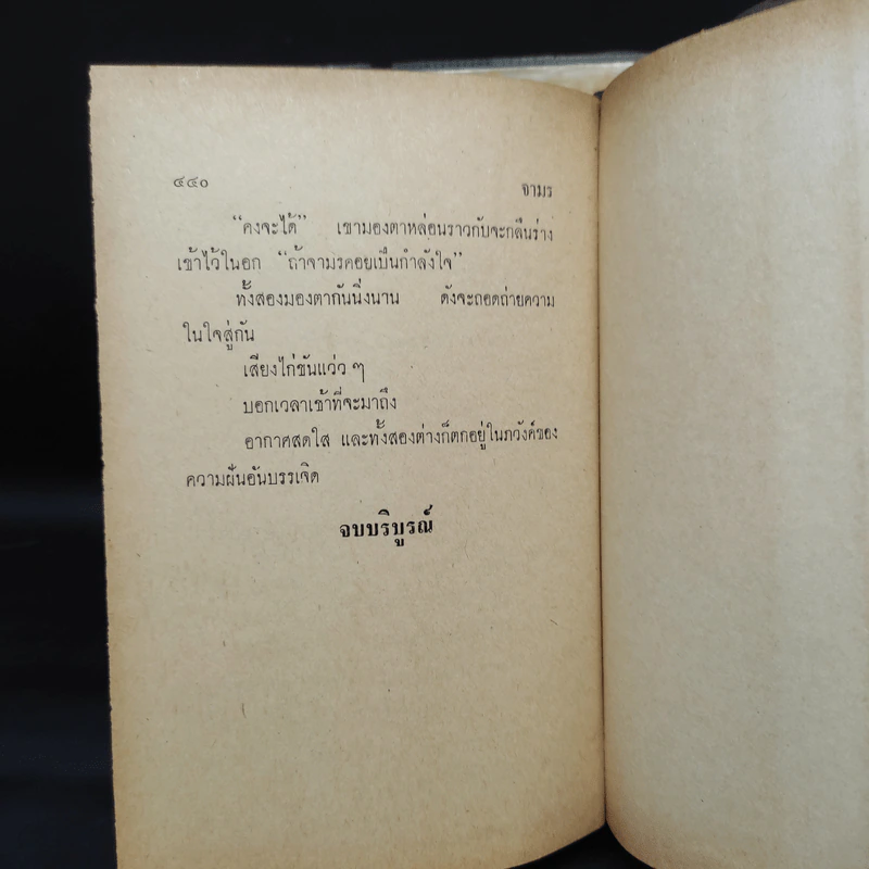 จามร 2 เล่มจบ - สุวรรณี รูปที่ 9
