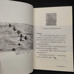 ฝูงนกอพยพ Birds on a Wire - เรวัตร์ พันธุ์พิพัฒน์ รูปที่ 7