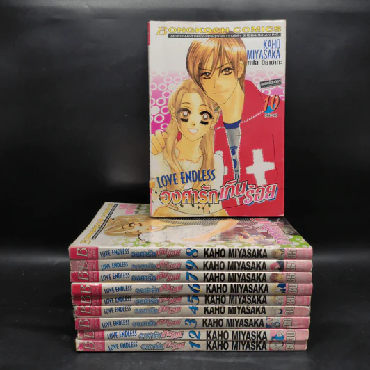 Love Endless องศารักเกินร้อย 10 เล่มจบ รูปที่ 1