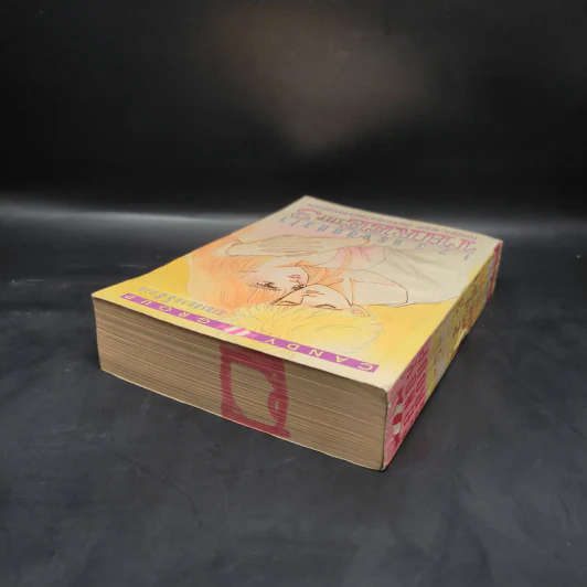 1.2.3. แรงสุดหัวใจ เล่ม 3 รูปที่ 5