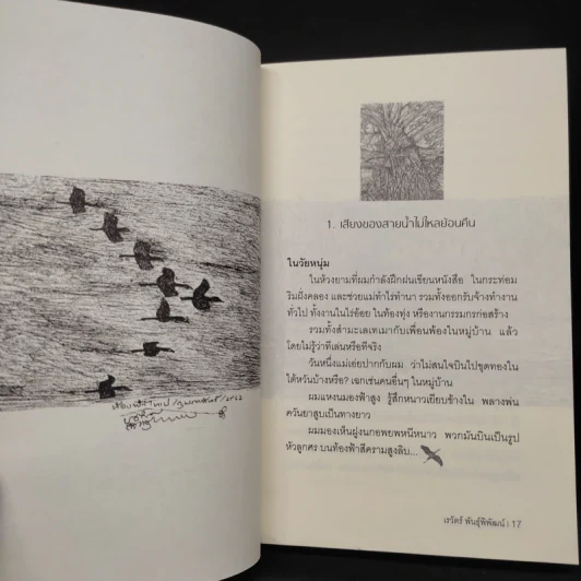ฝูงนกอพยพ Birds on a Wire - เรวัตร์ พันธุ์พิพัฒน์ รูปที่ 7