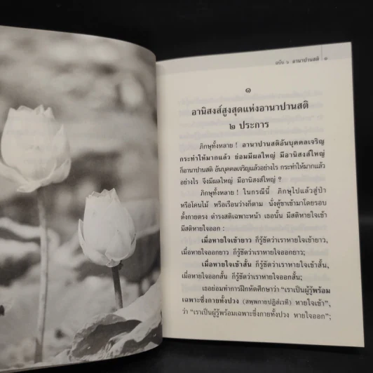 พุทธวจน ฉบับที่ 6 หมวดธรรม เปิดธรรมที่ถูกปิด อานาปานสติ รูปที่ 7
