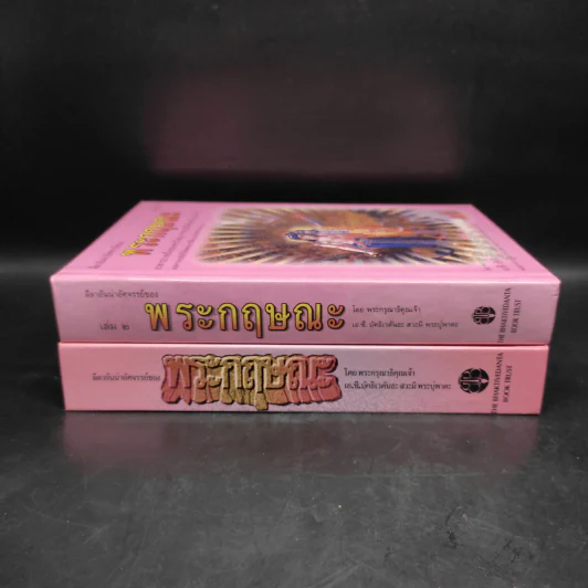 ลีลาอันน่าอัศจรรย์ของ พระกฤษณะ เล่ม 1-2 รูปที่ 3