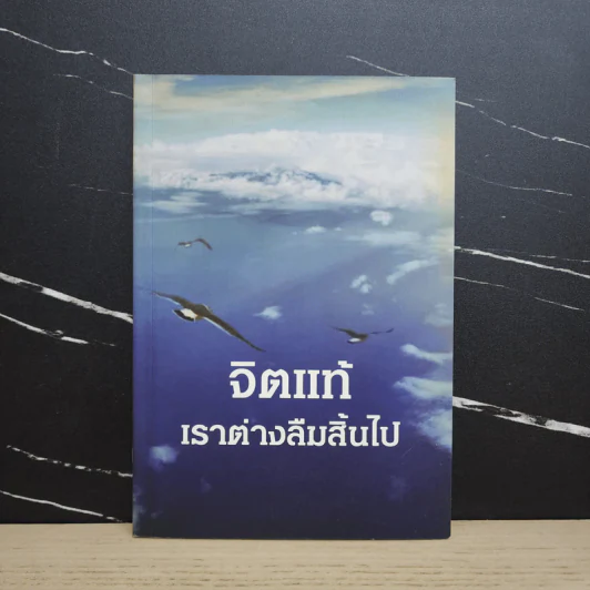 จิตแท้ เราต่างลืมสิ้นไป รูปที่ 1