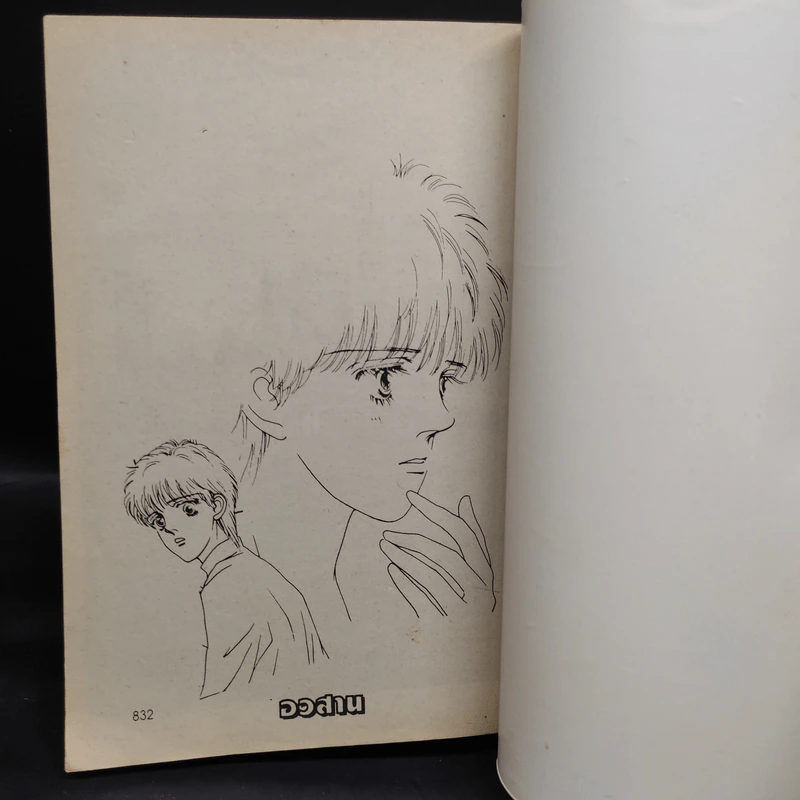 1.2.3. แรงสุดหัวใจ เล่ม 3 รูปที่ 8