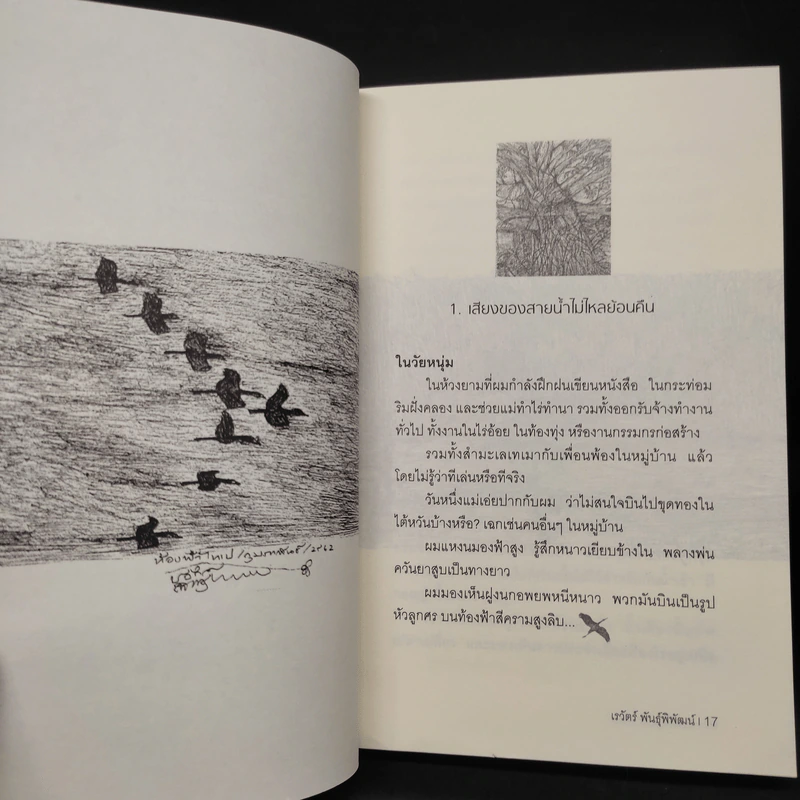 ฝูงนกอพยพ Birds on a Wire - เรวัตร์ พันธุ์พิพัฒน์ รูปที่ 7