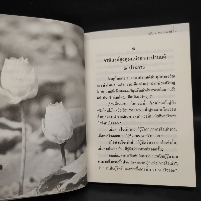 พุทธวจน ฉบับที่ 6 หมวดธรรม เปิดธรรมที่ถูกปิด อานาปานสติ รูปที่ 7
