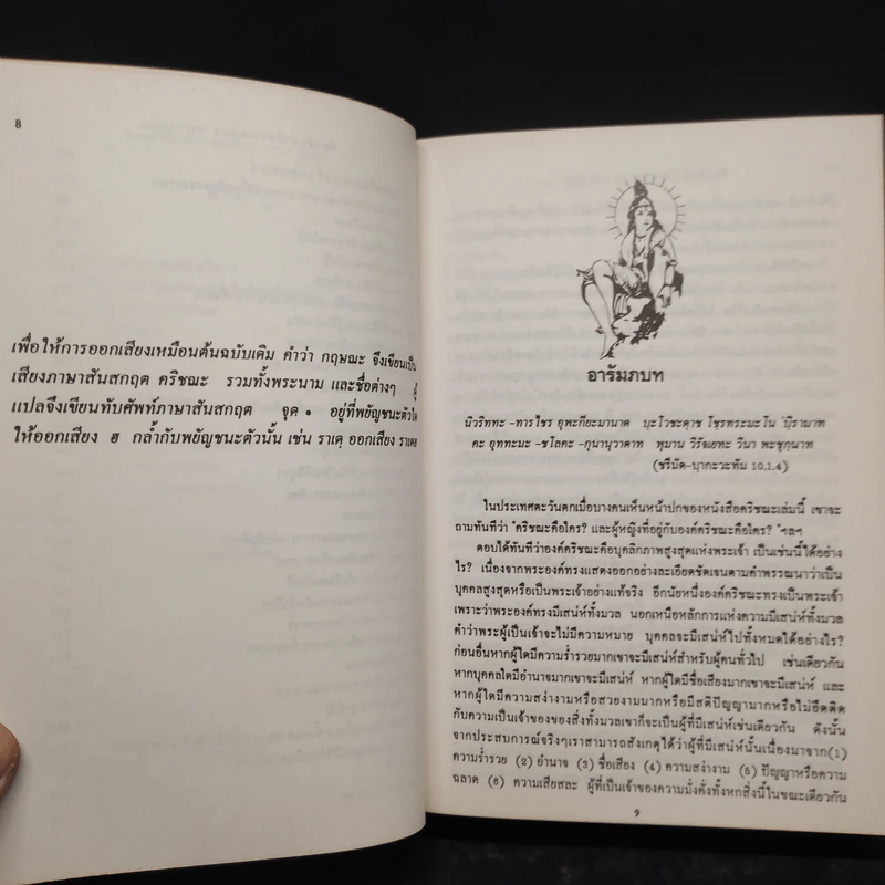 ลีลาอันน่าอัศจรรย์ของ พระกฤษณะ เล่ม 1-2 รูปที่ 11