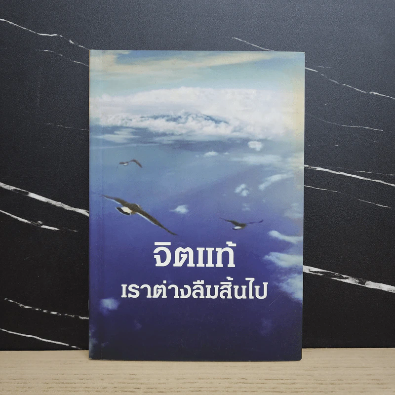 จิตแท้ เราต่างลืมสิ้นไป รูปที่ 1