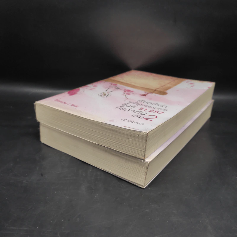 เรียกข้าว่า 'เครื่องบรรณาการ ชิ้นที่ 31,257' ก็แล้วกัน 2 เล่มจบ - missty รูปที่ 4