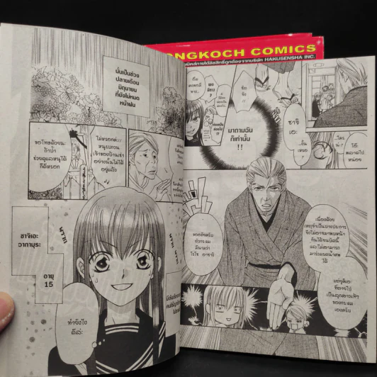 แก๊งอลเวง นักเลงพันธุ์พิลึก เล่ม 1-3 รูปที่ 6