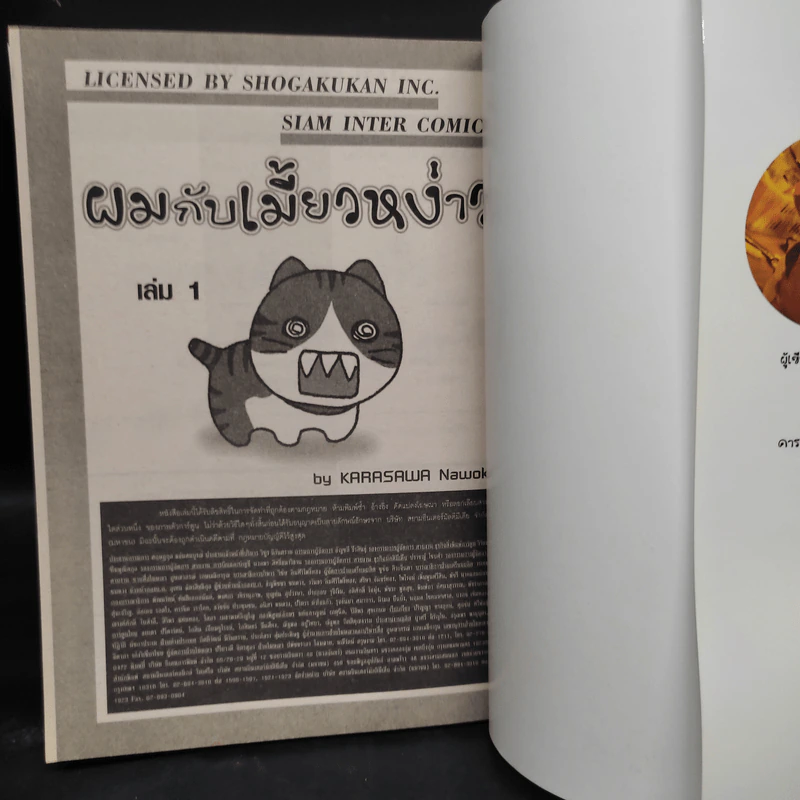 ผมกับเมี้ยวหง่าว เล่ม 1-2 รูปที่ 5