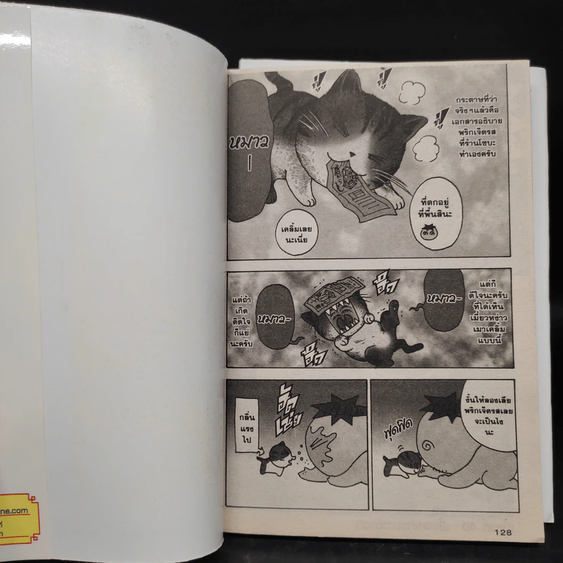 ผมกับเมี้ยวหง่าว เล่ม 1-2 รูปที่ 8