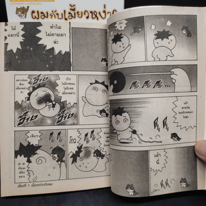 ผมกับเมี้ยวหง่าว เล่ม 1-2 รูปที่ 7